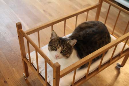 Die Katze liegt vor dem Ofen im Puppenbett