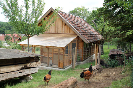 Hühnergehege